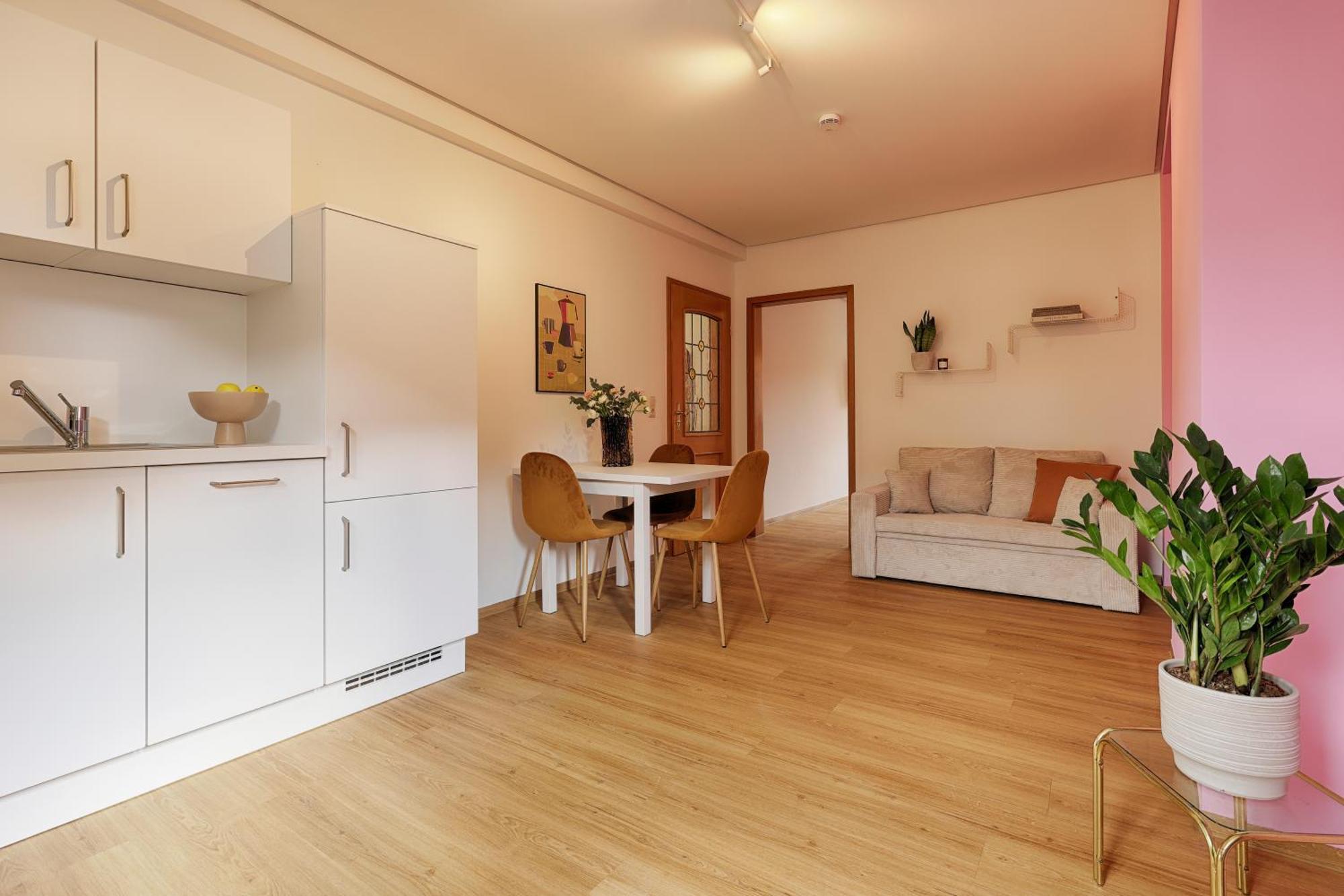 Homie Stay Badgasse - Fewos Am Main Mit Dachterrasse & Fahrradgarage Ochsenfurt Εξωτερικό φωτογραφία